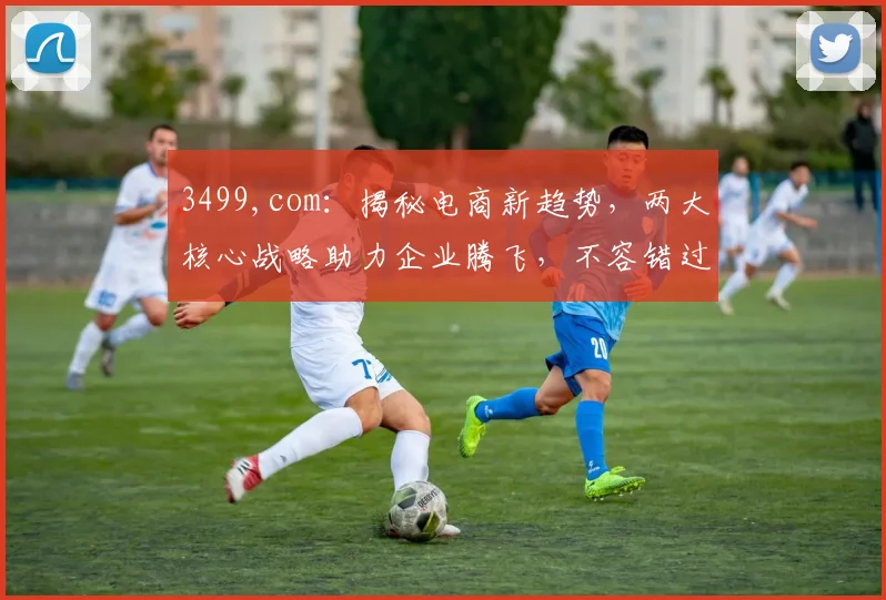3499,com：揭秘电商新趋势，两大核心战略助力企业腾飞，不容错过