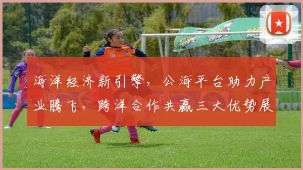 海洋经济新引擎，公海平台助力产业腾飞，跨洋合作共赢三大优势展现